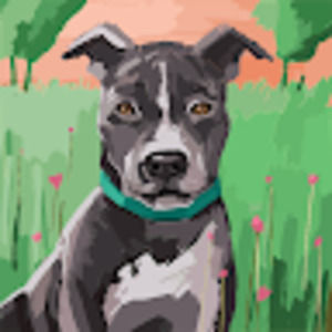 Meet your Posher, Nikki